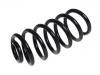 Coil spring:55 02 026 44R