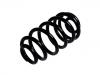 Coil spring:424453