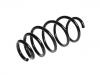 Coil spring:312496