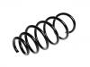 Coil spring:312421