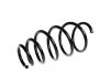 Coil spring:312420