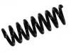 Coil spring:204 324 05 04