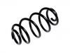 Coil spring:95216095