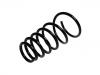 Coil spring:55330-0Z000