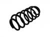 Coil spring:LR019981