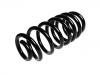 Coil spring:RKB500033