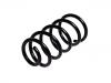 Coil spring:46529069