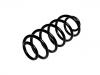 Coil spring:51806125