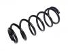 Muelle de chasis Coil spring:55020-4JW7A