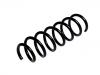 Coil spring:31 33 6 795 430