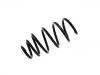 Coil spring:312449