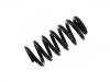 Coil spring:13368188