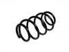 Coil spring:1201051