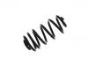 Coil spring:13310864