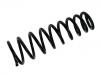 Coil spring:51772430