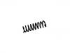 Coil spring:55350-2S010