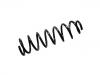 Fahrwerksfeder Coil spring:B2915181