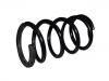 Muelle de chasis Coil spring:T112902011