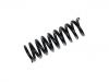 Coil spring:202 324 11 04