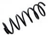 Coil spring:1J0 411 105 AQ