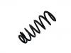 Coil spring:8646865