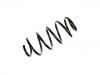 Coil spring:1K0 411 105 BP