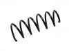 Coil spring:95076178