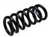 Coil spring:10412897