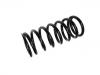 Coil spring:NRC6389