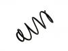 Coil spring:377 411 105