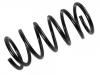 Coil spring:1318989080