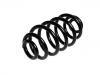 Coil spring:RKB101420