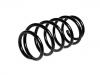 Coil spring:96179841