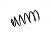 Coil spring:1J0 411 105 CD