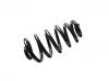 Coil spring:8E0 511 115 DC