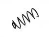 Coil spring:55020-5FA0A