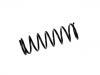 Coil spring:55020-SF005