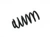 Coil spring:13313140