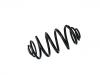 Coil spring:424 108