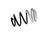 Coil spring:54 01 004 08R