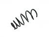 Coil spring:22879056