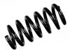 Coil spring:1884281