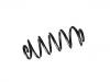 Coil spring:39202444