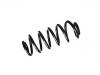 Coil spring:39112571