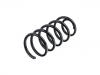 Coil spring:31 33 6 866 504