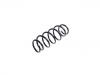 Coil spring:1609648680