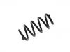 Coil spring:33 53 6 866 774