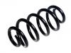 Coil spring:33 53 6 866 767