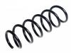 Coil spring:31 33 6 879 736