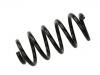 Coil spring:48231-76020